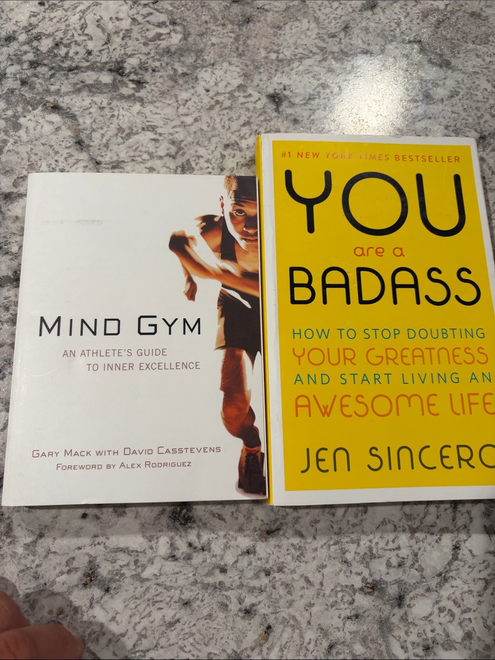 Two Book Bundle: The Mind Game and You are a Bad***